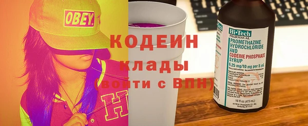 шишки Вяземский